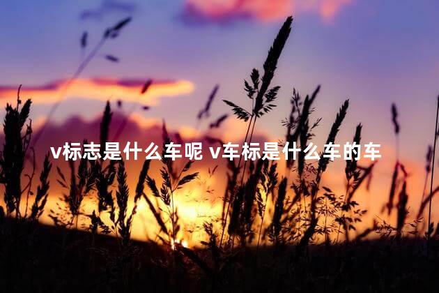 v标志是什么车呢 v车标是什么车的车价